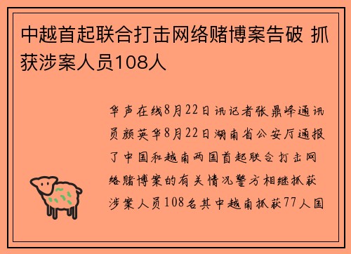 中越首起联合打击网络赌博案告破 抓获涉案人员108人